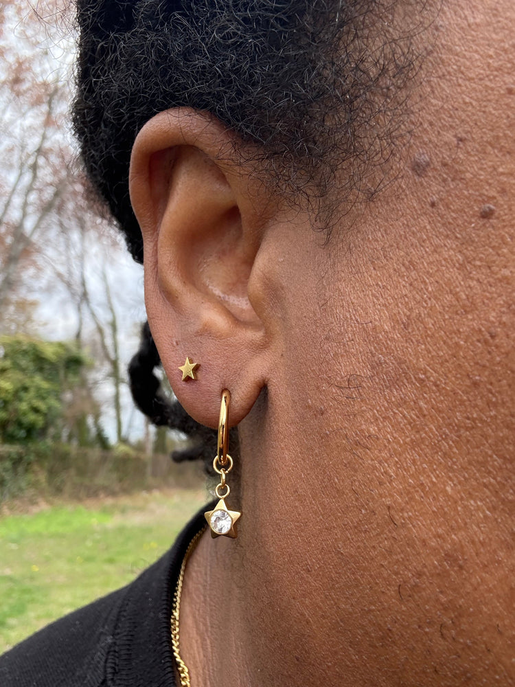 18k Gold PVD Stainless Steel Earrings